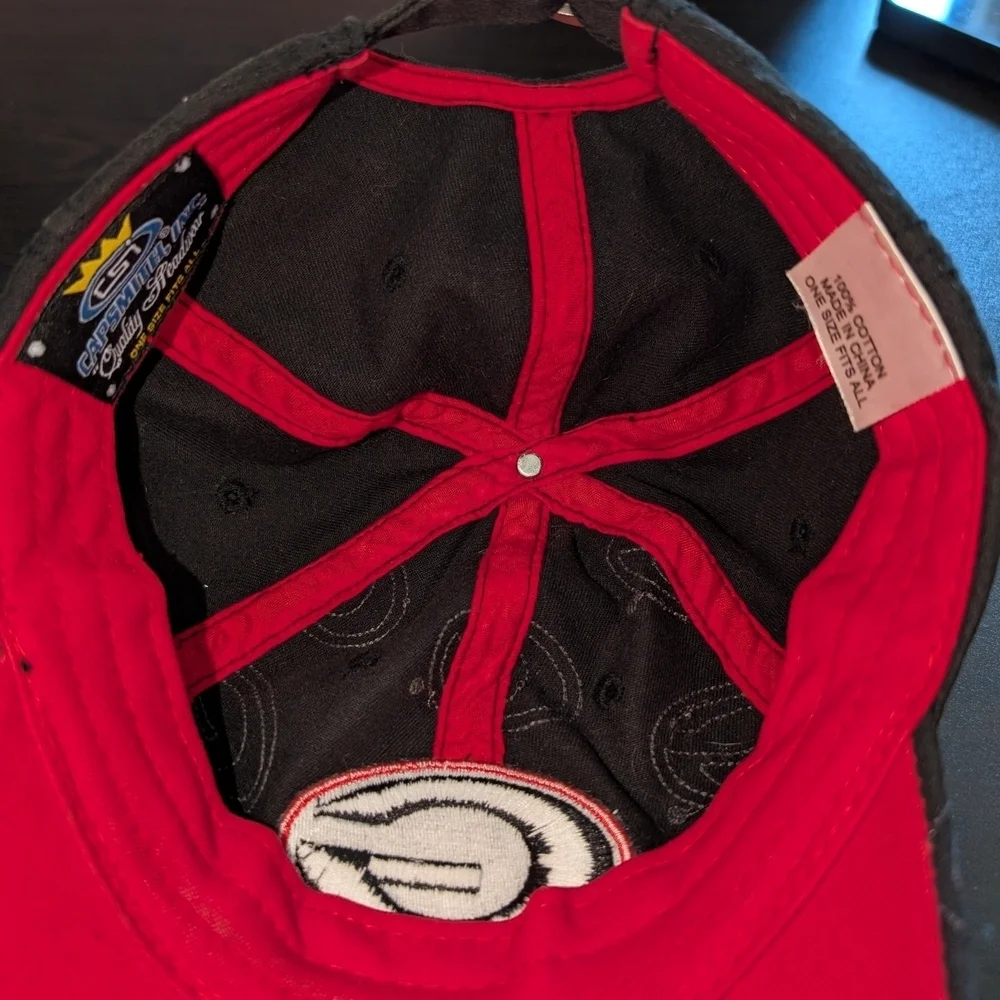 Georgia Dawg Hat